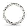 2.2mm Fauna Eternity Band - Side View