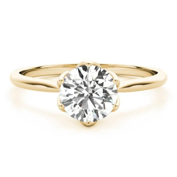 Marseille Ring - Main View