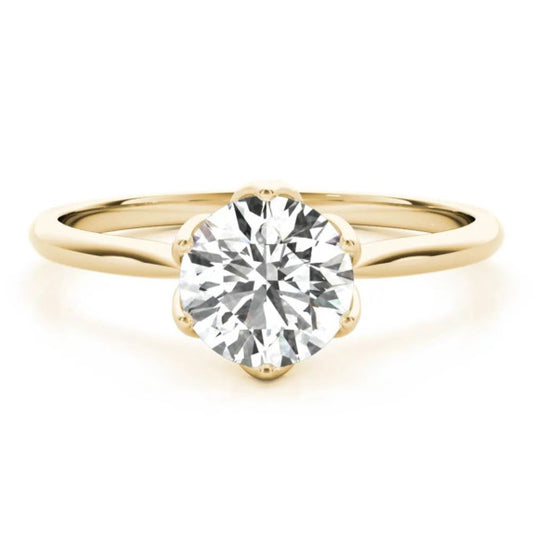 Marseille Ring - Main View