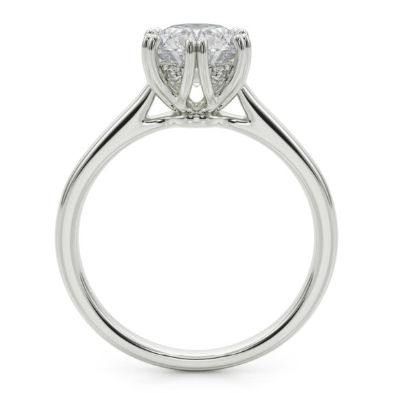 Petra Ring - Detail View