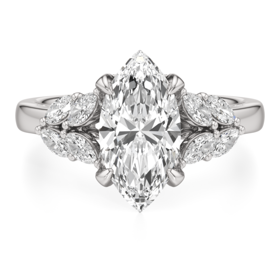 Ari Ring - Main View