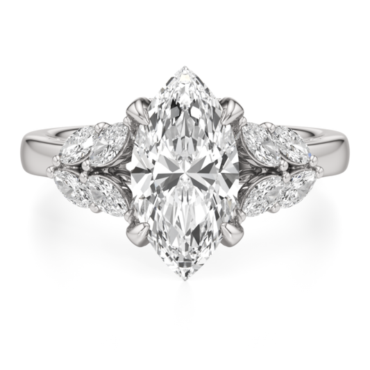 Ari Ring - Main View