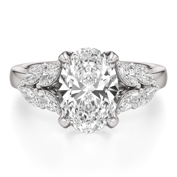 Ari Ring - Main View