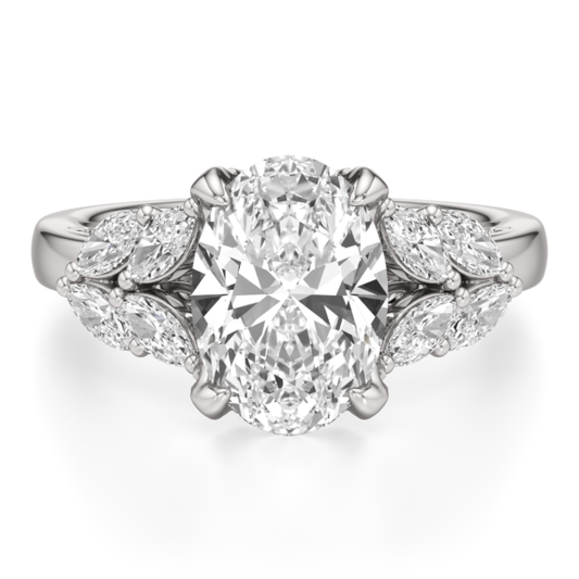 Ari Ring - Main View