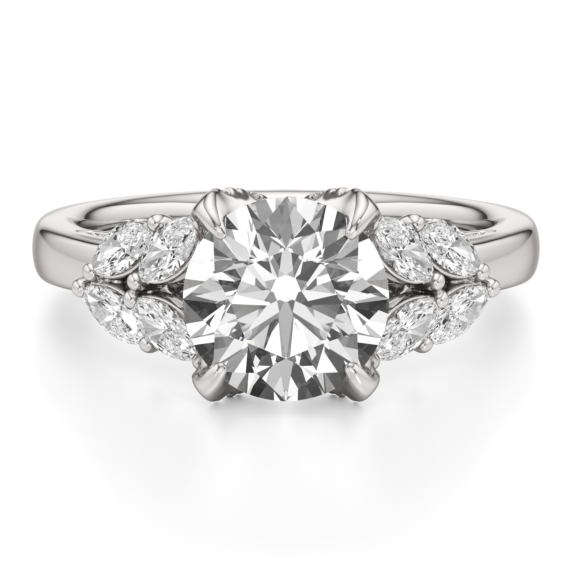 Ari Ring - Main View